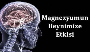 Magnezyumun Beynimize Etkisi